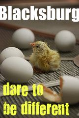 dare to be different Blacksburg   First, and Wire Free
