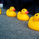 Ducks in a row 150x150 How Often Do Mortgage Rates Change?